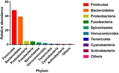 Effect of host genetics and gut microbiome on fat deposition traits in pigs